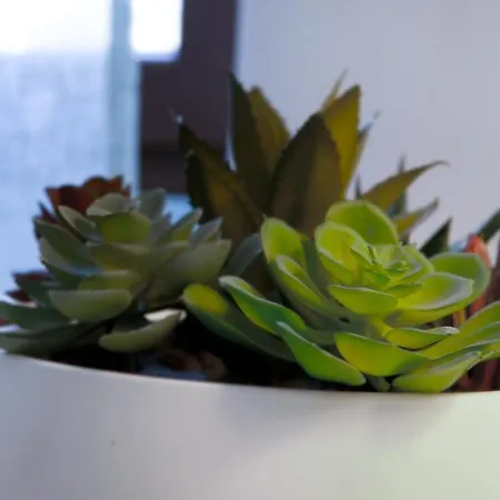 Апартаменты Lighthouse Al Mare *