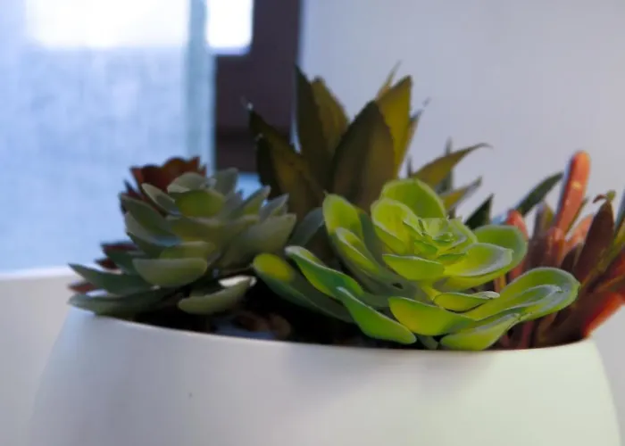 公寓 Lighthouse Al Mare *